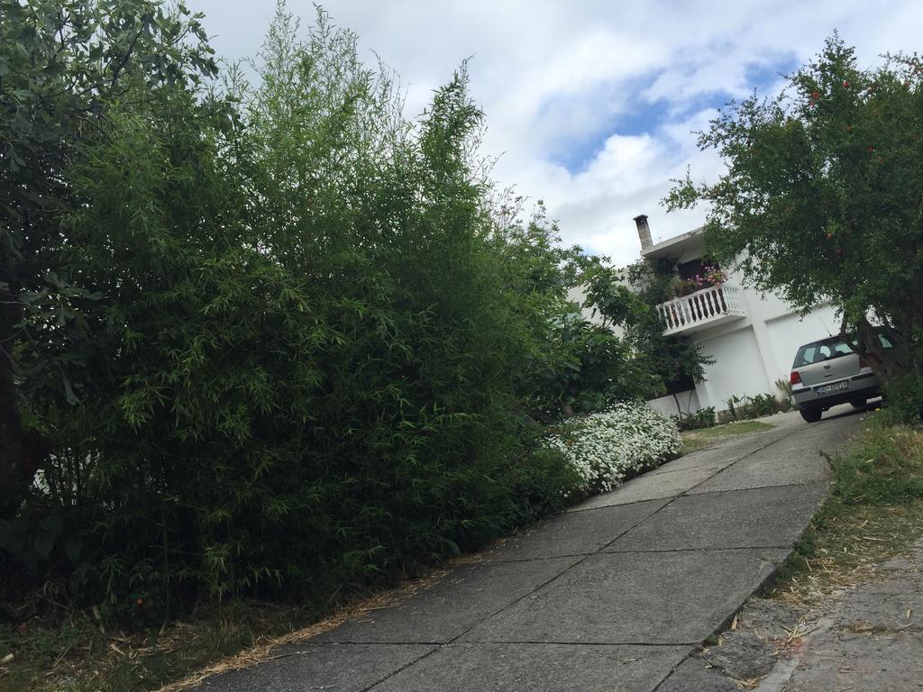 Apartments Ant Budva Dış mekan fotoğraf
